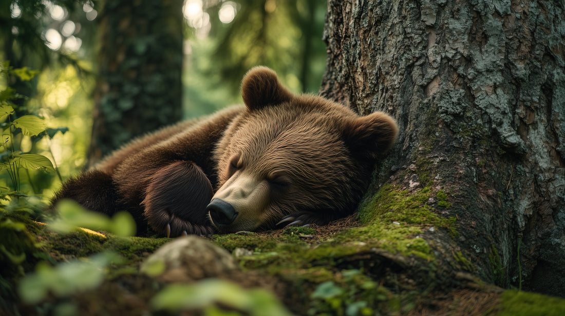 Just Come Right Back