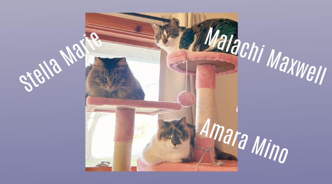 But Did You Know It Was Pink?