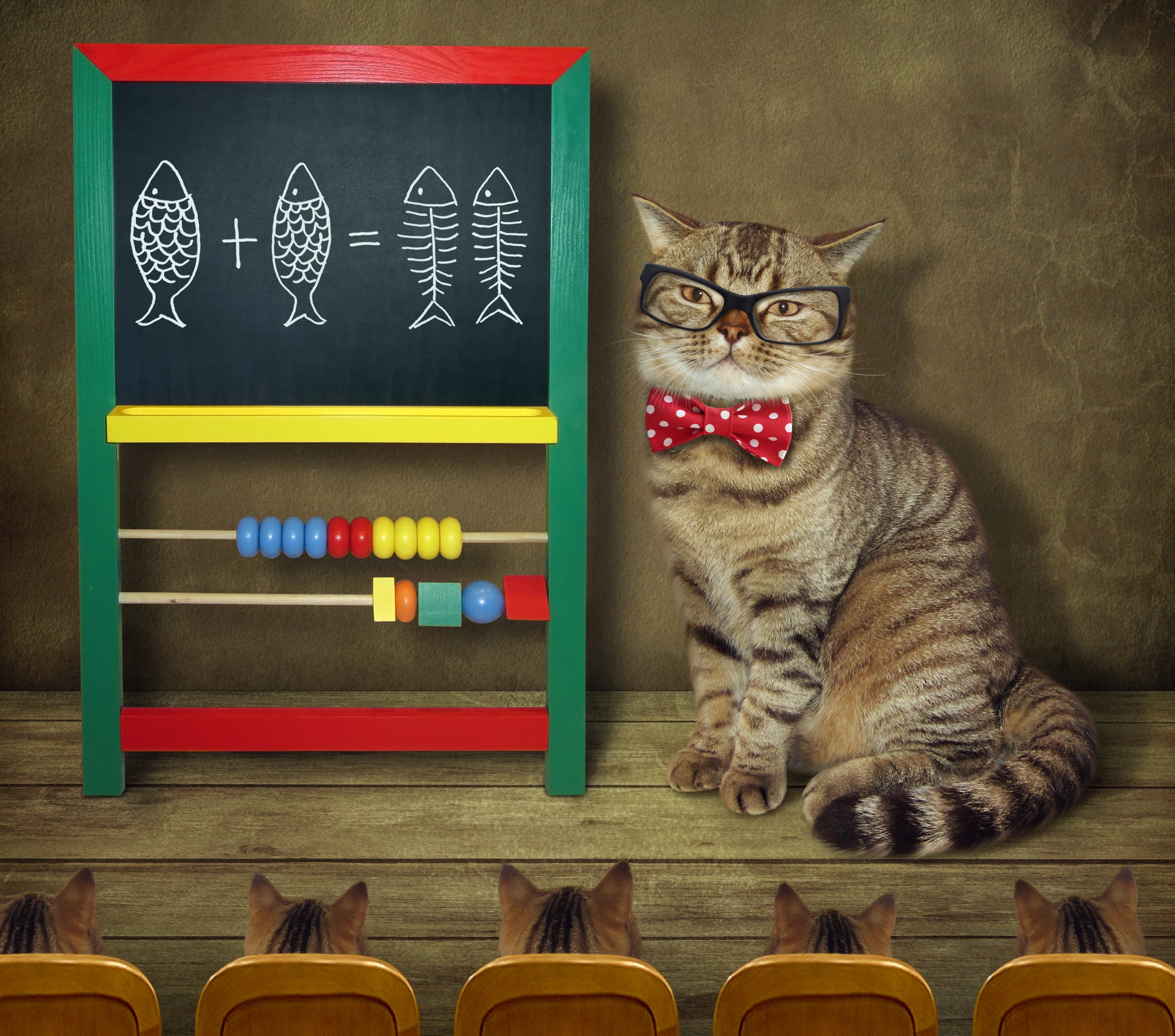 Cat Math and the IRS – B. A. Paul